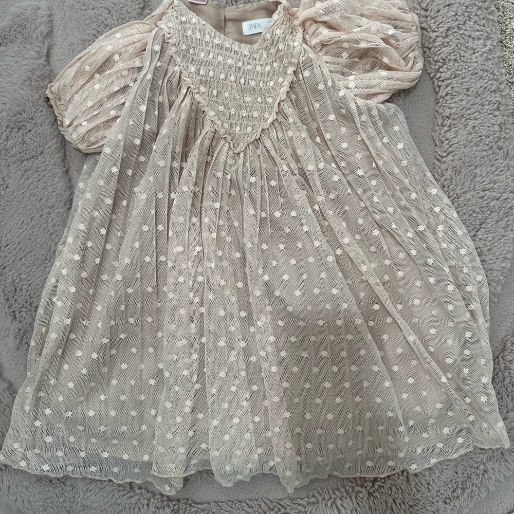 Zara Light Brown Dress